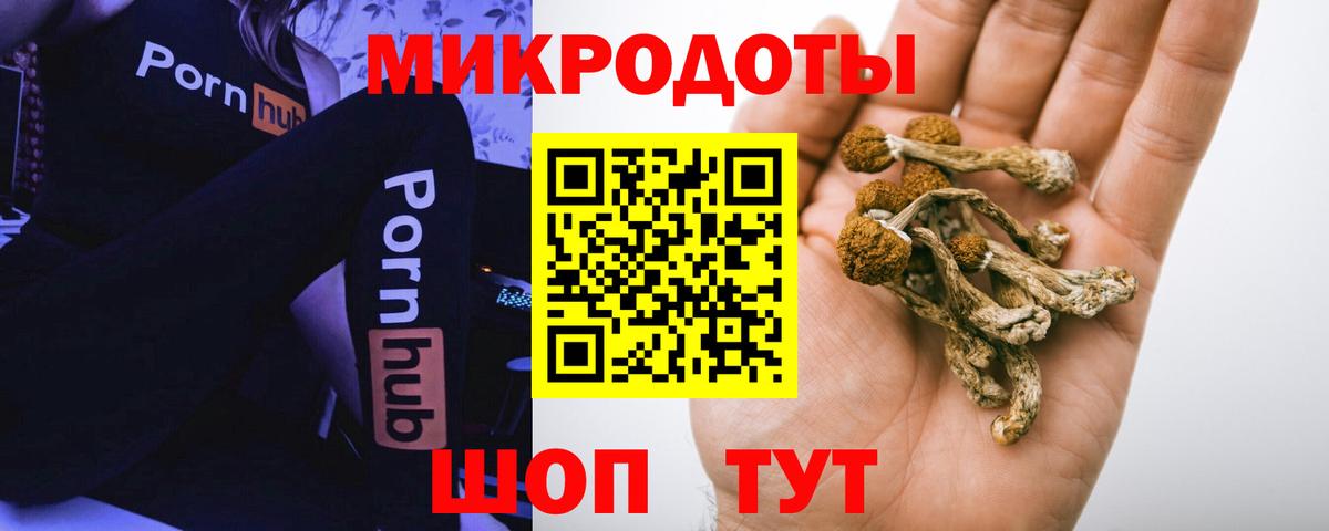 Галлюциногенные грибы Psilocybe Серов
