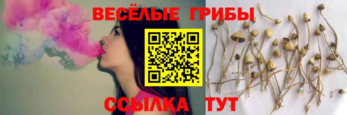 Псилоцибиновые грибы Magic Shrooms  Псилоцибиновые грибы прущие грибы  Вход с VPN  Серов 